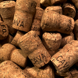 Product image for Honor Cava Brut Seleccion