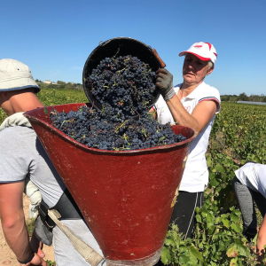 Product image for Andre Colonge Beaujolais Villages 