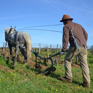 Product image for Clos Roussely L'Escale Sauvignon Blanc