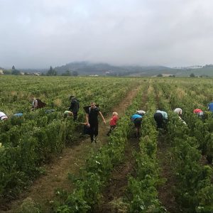 Product image for Andre Colonge Beaujolais Villages 