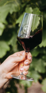 Product image for Two Hands Bella's Garden Shiraz