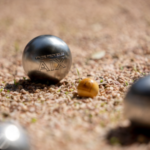 Product image for AIX Rose