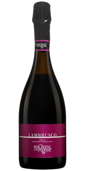 A product image for Monte delle Vigne Lambrusco Vino Spumante Brut