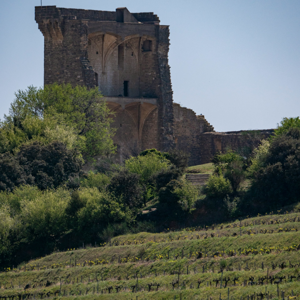 Product image for Clos de l'Oratoire Chateauneuf-du-Pape