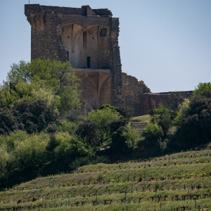 Product image for Clos de l'Oratoire Chateauneuf-du-Pape