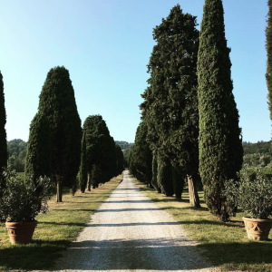 Product image for Venturini Baldini Montelocco Lambrusco Rosso