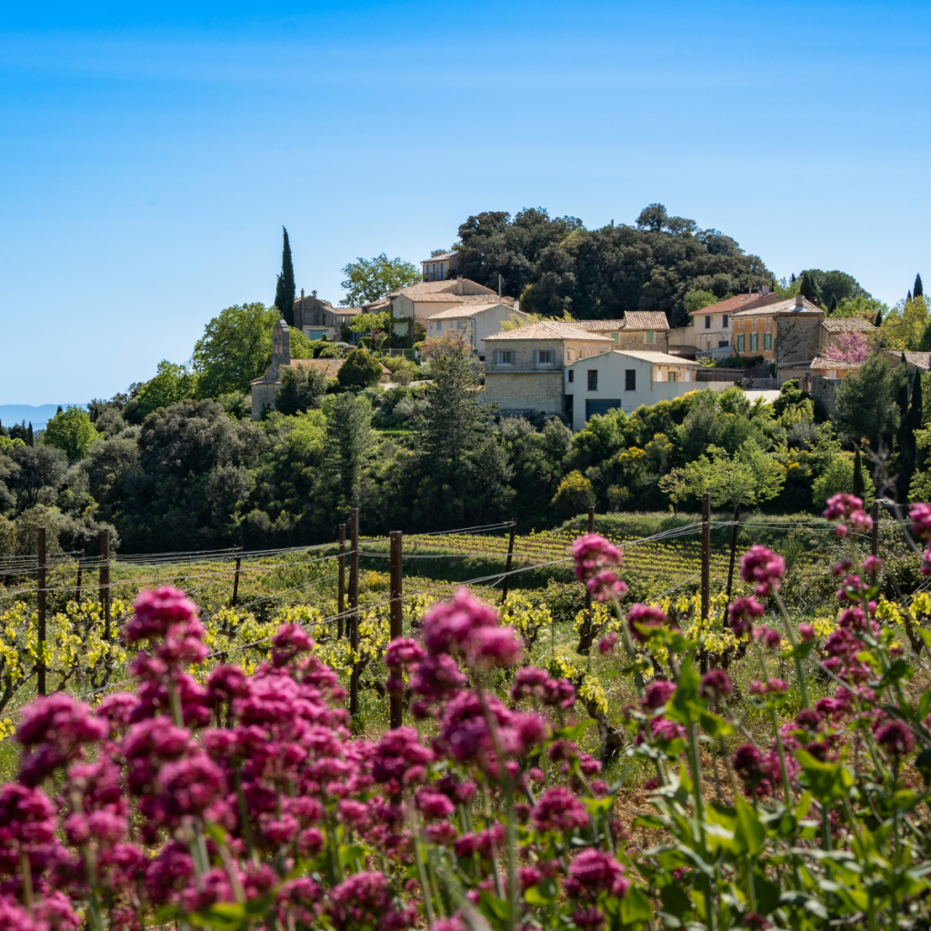 Product image for Clos de l'Oratoire Chateauneuf-du-Pape