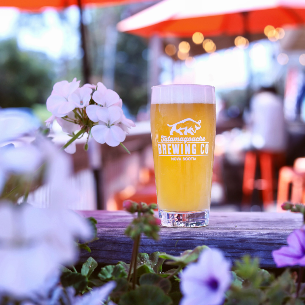 Product image for Tatamagouche X Bishops Cellar - Cellar Slammer Session IPA