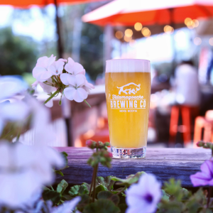 Product image for Tatamagouche X Bishops Cellar - Cellar Slammer Session IPA