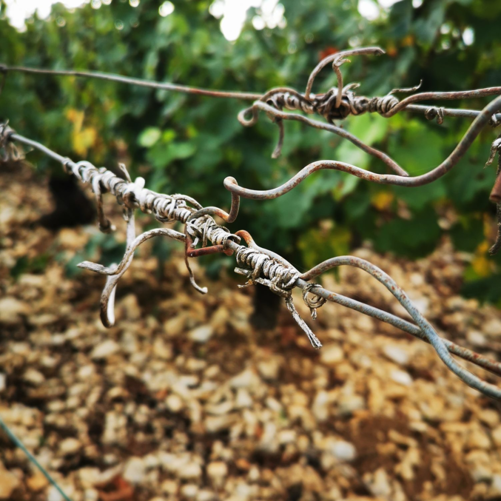 Product image for Domaine La Meuliere - Chablis