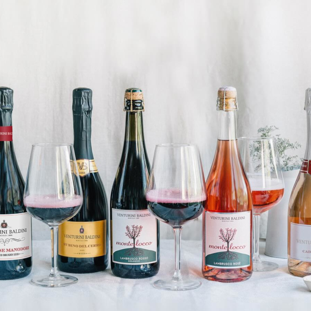 Product image for Venturini Baldini Montelocco Lambrusco Rosso