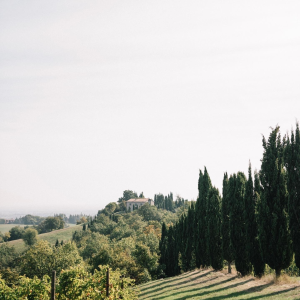 Product image for Venturini Baldini Montelocco Lambrusco Rosso