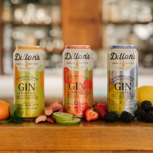 Product image for Dillon's Distillery - Tangerine Lemon Mint Seltzer