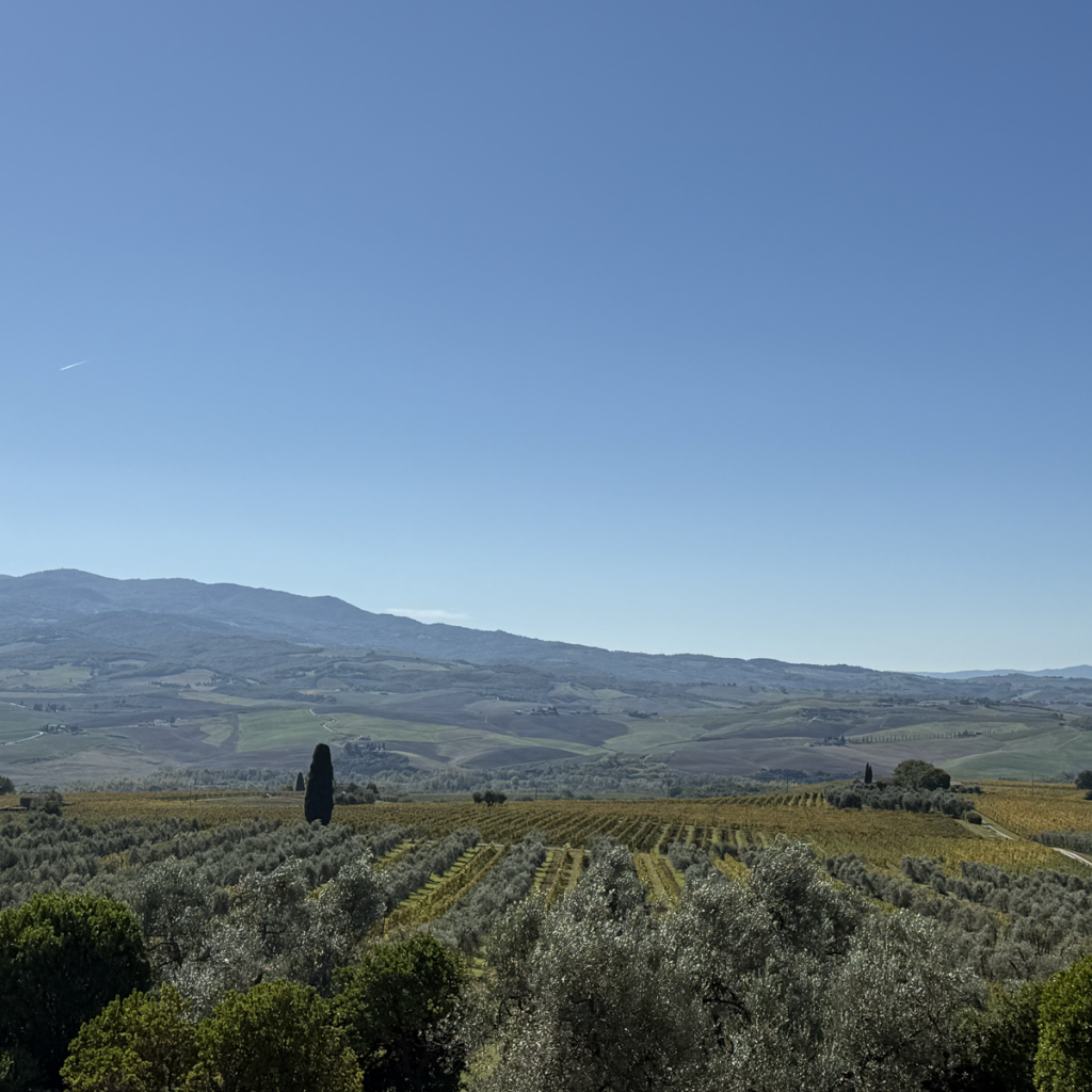 Product image for Il Poggione Brunello di Montalcino