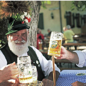 Product image for Ayinger - Oktoberfest Marzen