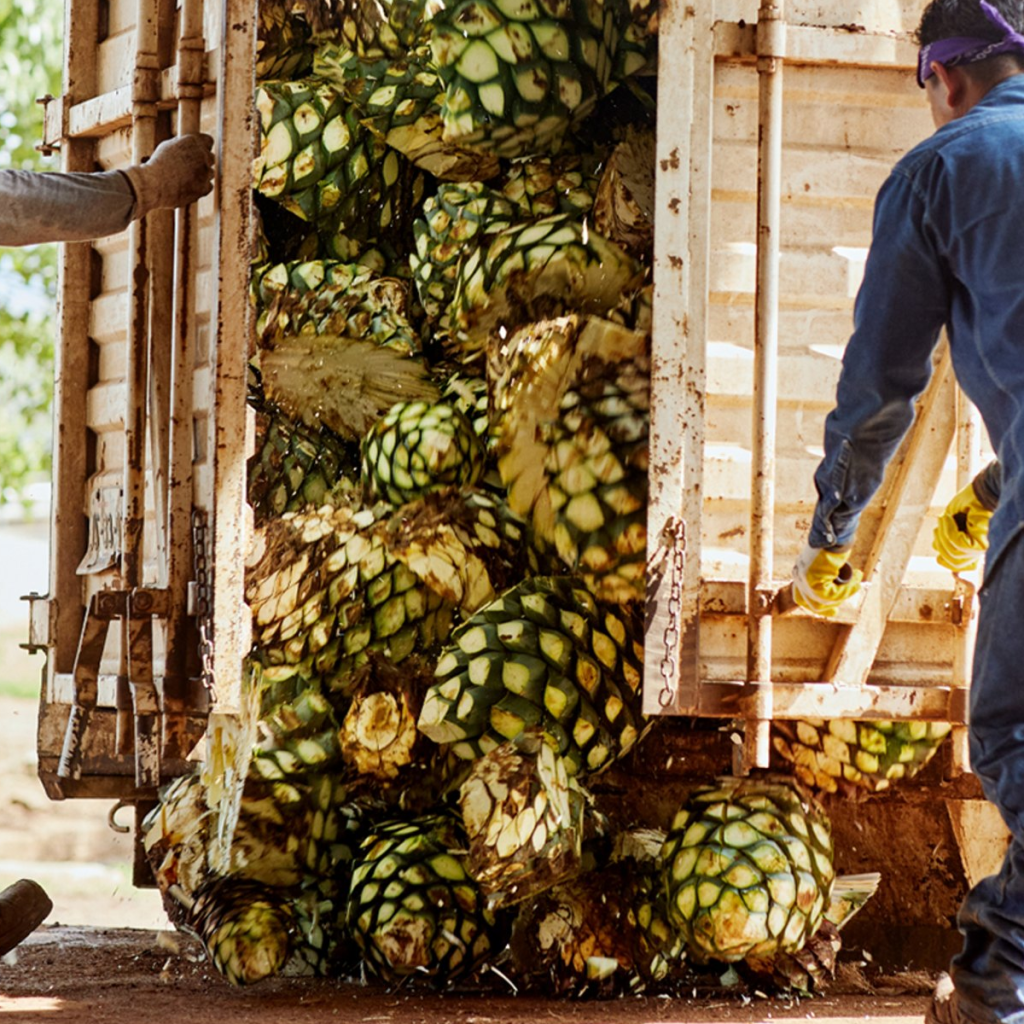 Product image for Lunazul Tequila Blanco