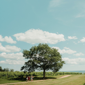Product image for Blomidon NV Cuvée L'Acadie