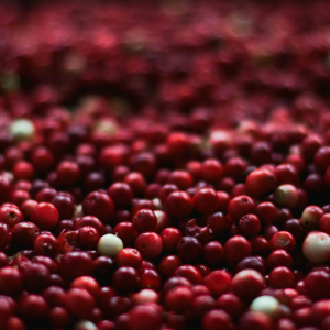 Product image for Barrelling Tide Cranberry