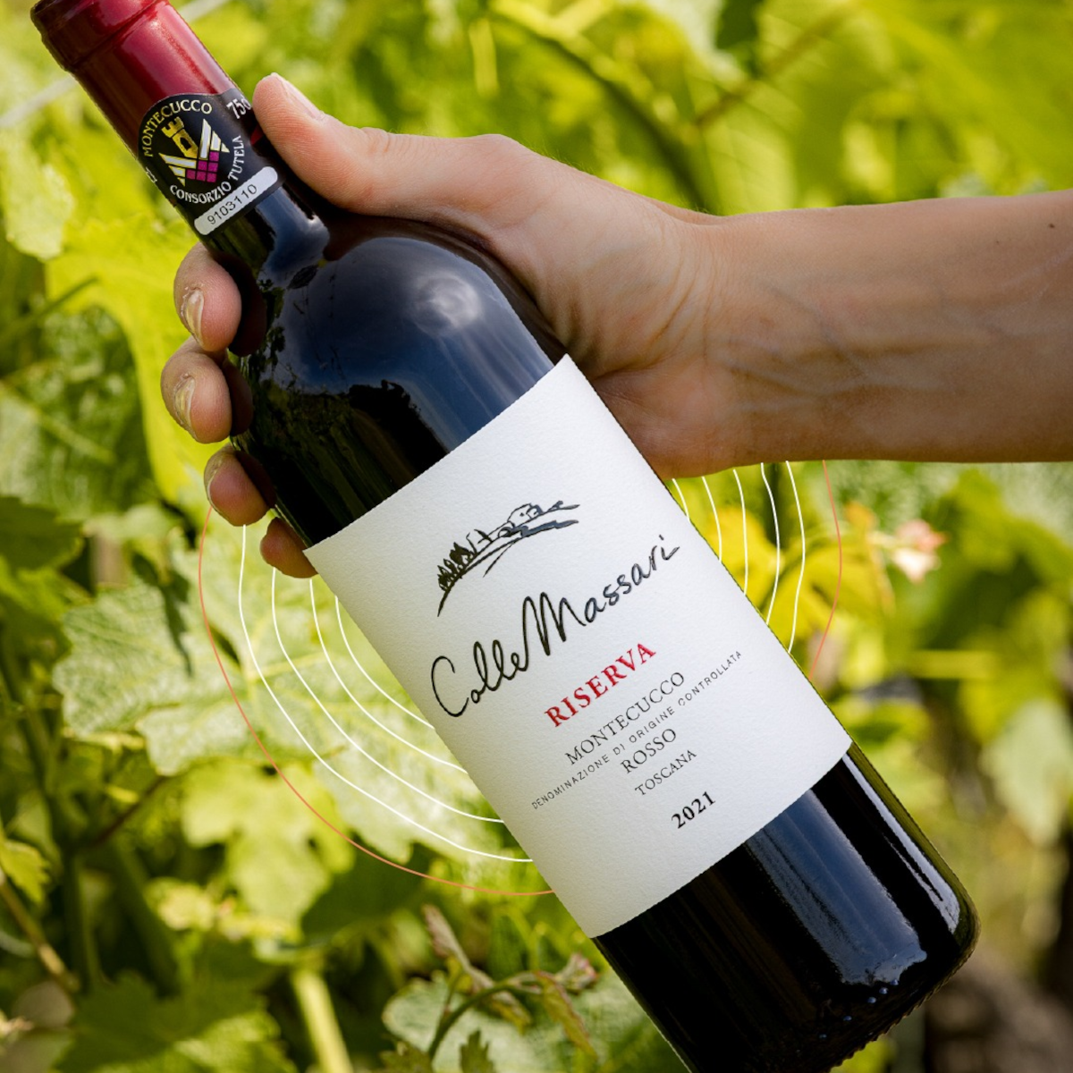 Product image for ColleMassari Montecucco Rosso Riserva DOC