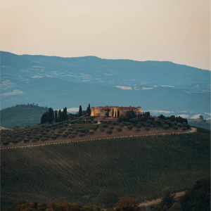 Product image for ColleMassari Montecucco Rosso Riserva DOC