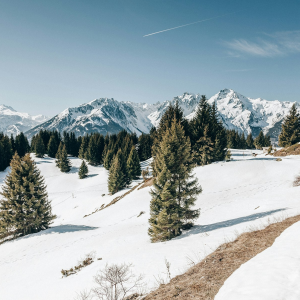 Product image for Dolin Vermouth Comoz Blanc