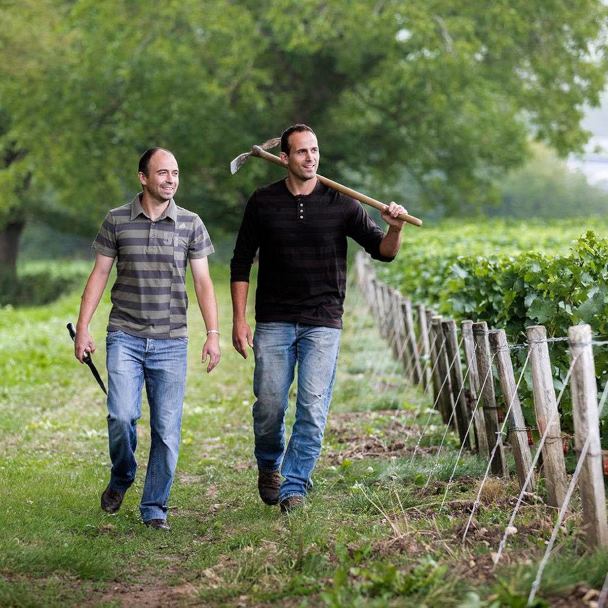 Product image for Pre Semele Sancerre