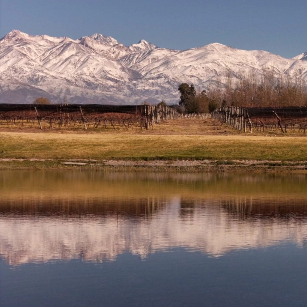 Product image for Domaine Bousquet Organic Malbec