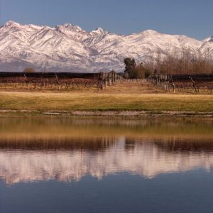 Product image for Domaine Bousquet Organic Malbec