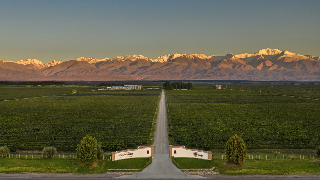 Product image for Domaine Bousquet Organic Chardonnay