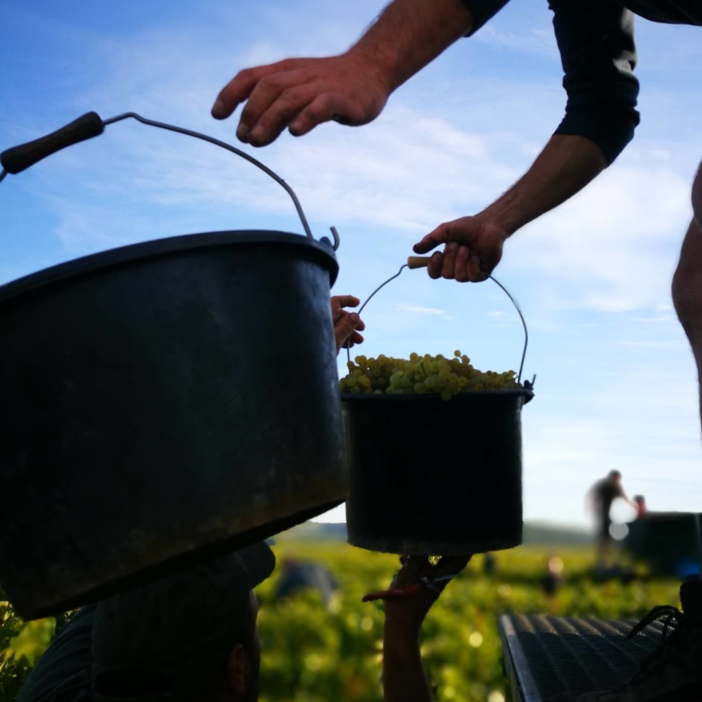 Product image for Domaine La Meuliere Chablis Premier Cru Les Fourneaux