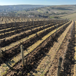 Product image for Pre Semele Sancerre