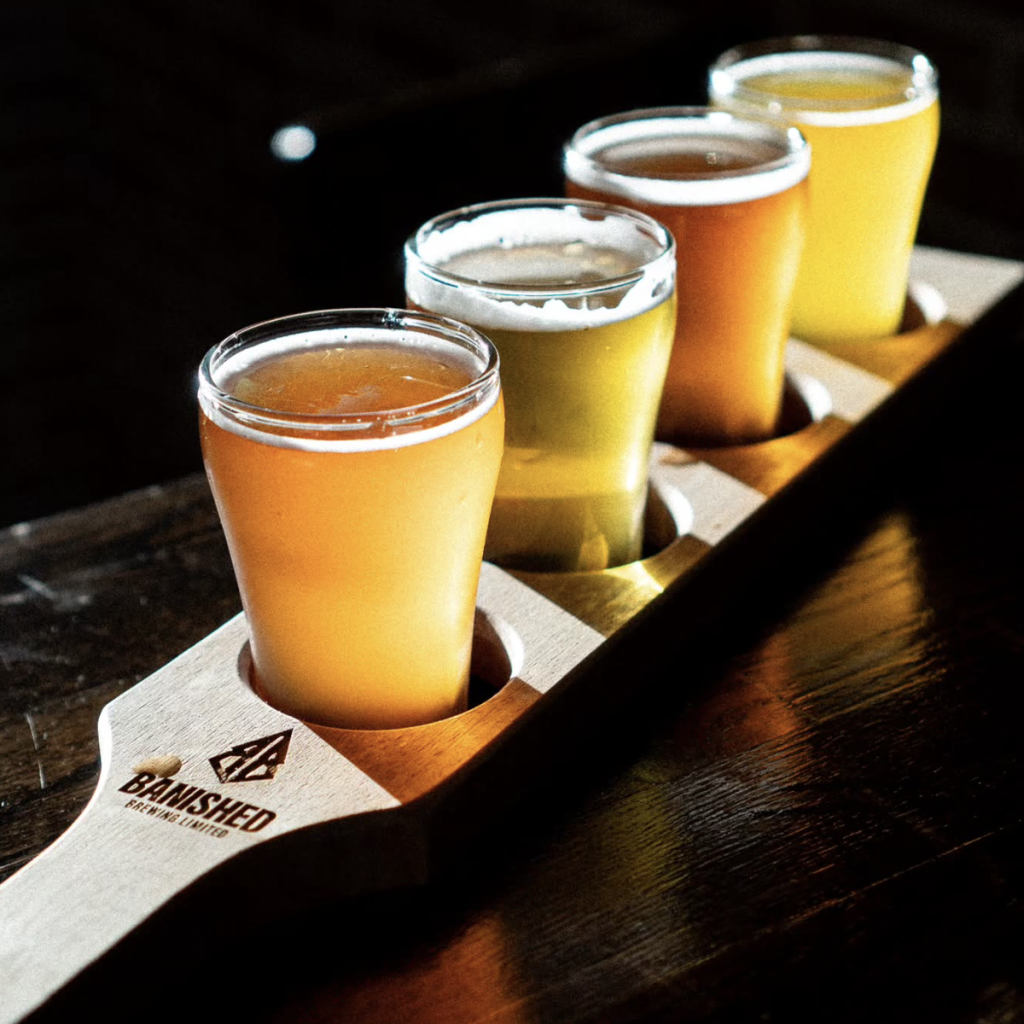 Product image for Banished Brewing - Space Puffin New England IPA