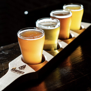 Product image for Banished Brewing - Space Puffin New England IPA