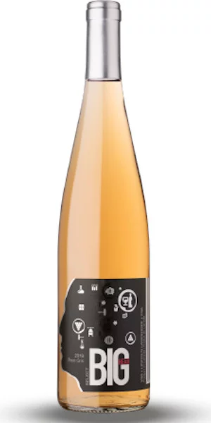 A product image for Big Head Wines Pinot Gris Select