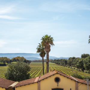Product image for Sella e Mosca Cala Reale Vermentino di Sardegna