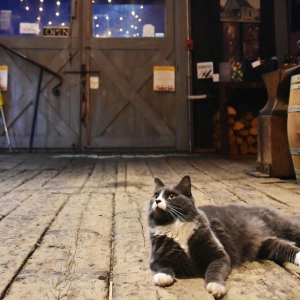 Product image for Ironworks Rhubarb Liqueur 500ml