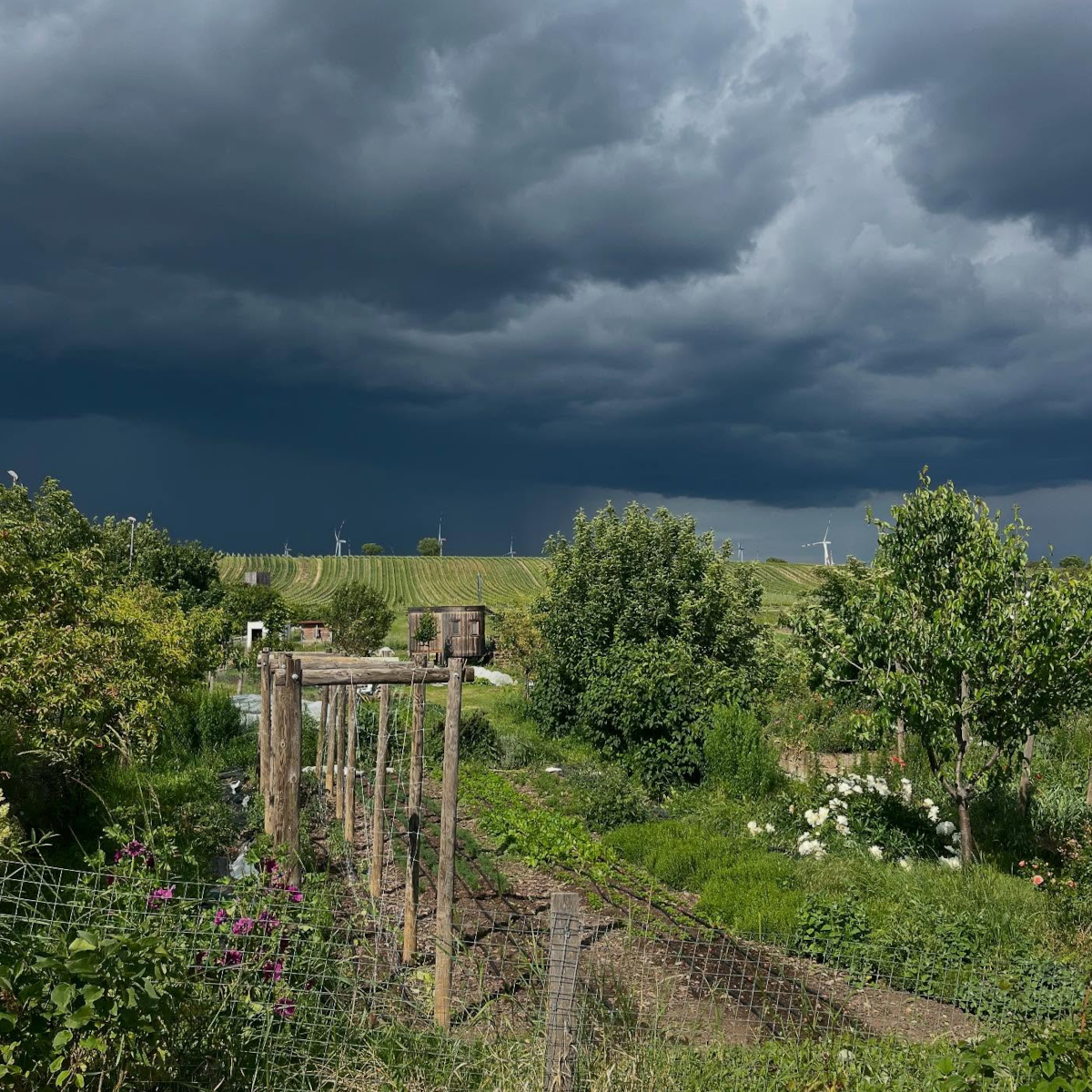 Product image for Weingut Heinrich Naked White