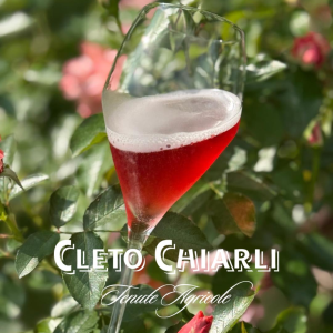Product image for Chiarli Vecchia Modena Lambrusco di Sorbara