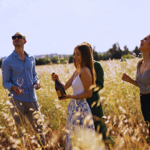 Product image for Chiarli Vecchia Modena Lambrusco di Sorbara