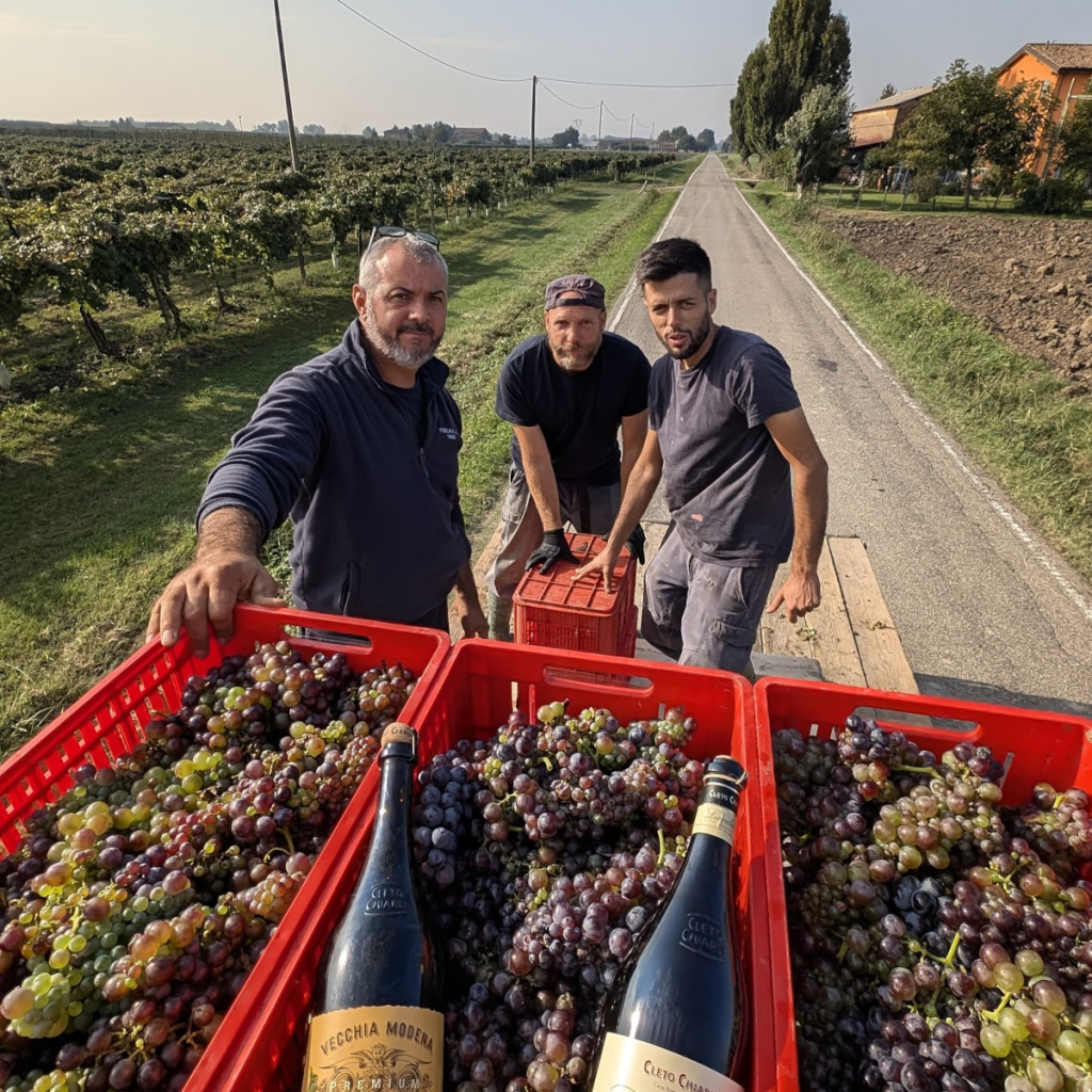 Product image for Chiarli Vecchia Modena Lambrusco di Sorbara