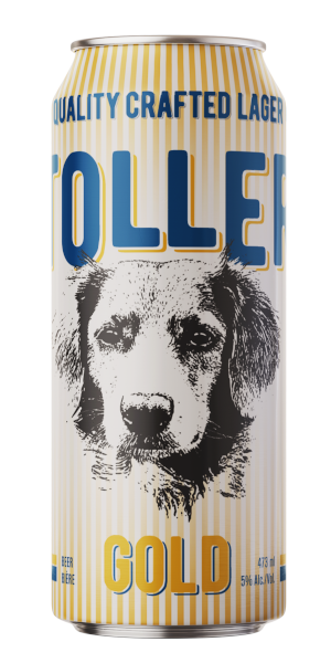 A product image for Burnside Brewing – Toller Gold Lager (Tall Can)