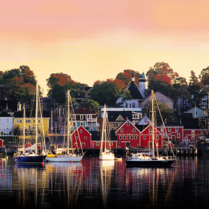 Product image for Ironworks Blueberry Esprit