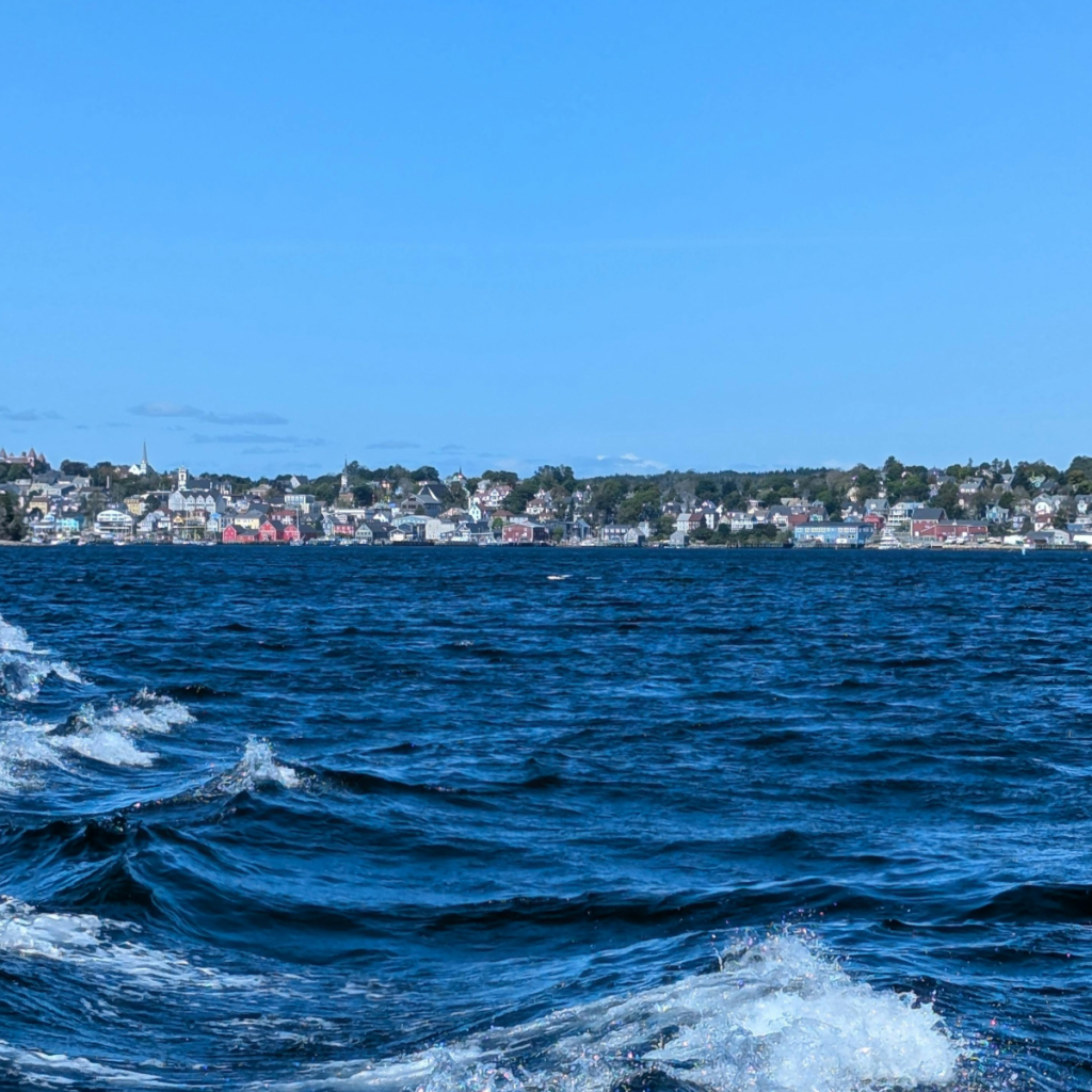 Product image for Ironworks Blueberry Esprit