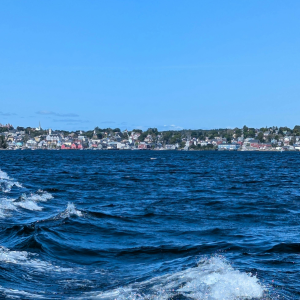 Product image for Ironworks Blueberry Esprit