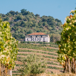 Product image for Croft Quinta Roeda 1995