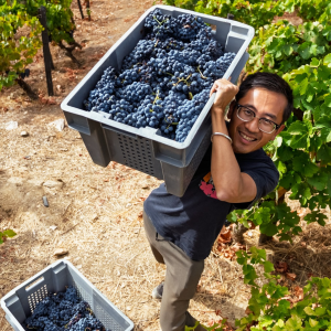 Product image for Croft Quinta Roeda 1995