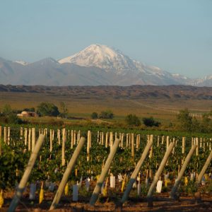 Product image for Trapiche Expedicion Sur Malbec