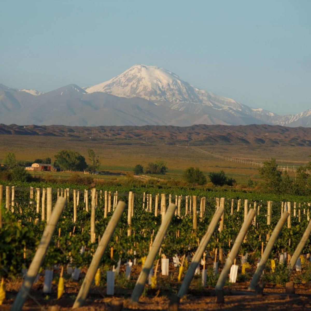 Product image for Trapiche Expedicion Sur Malbec