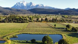 Product image for Trapiche Expedicion Sur Cabernet Sauvignon