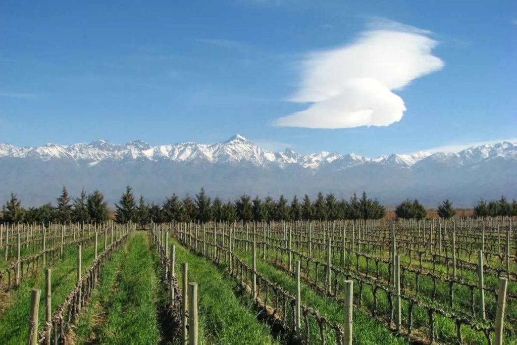 Product image for Trapiche Expedicion Sur Malbec